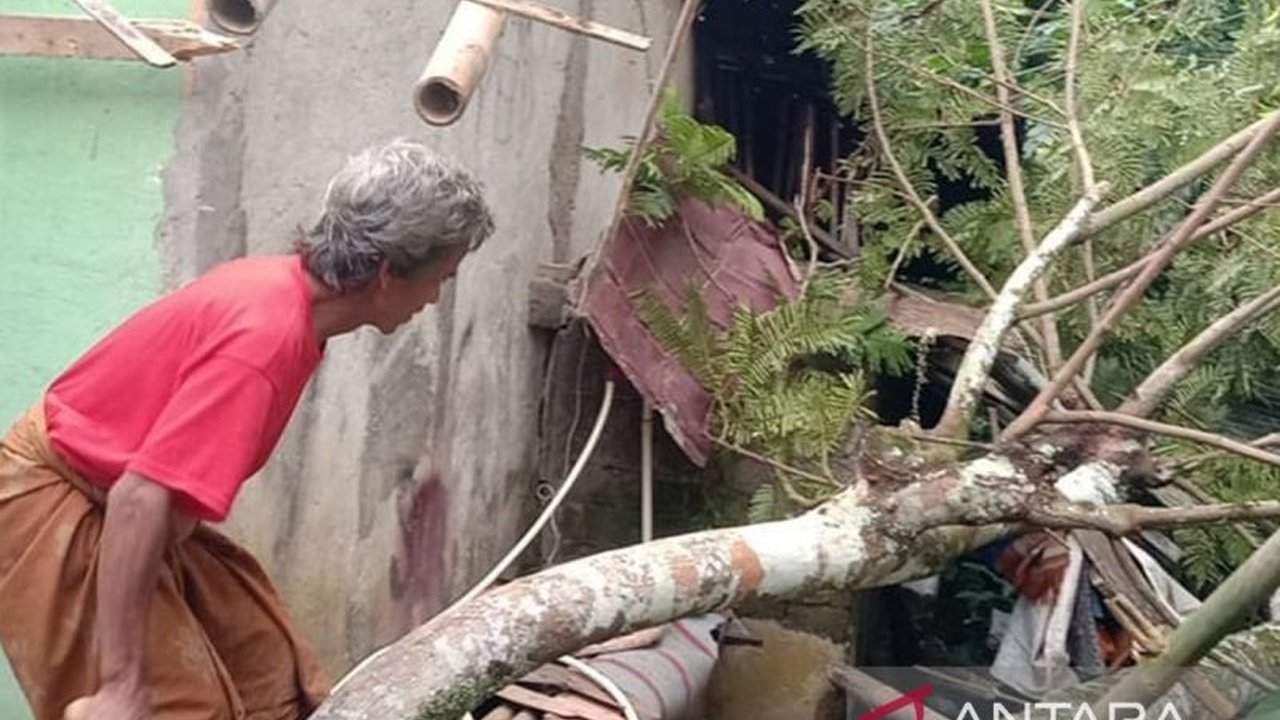 Angin kencang di Sukabumi, Jawa Barat pada Kamis, 30 Januari 2024, menyebabkan delapan titik pohon tumbang dan merusak sembilan rumah, namun tidak ada korban jiwa.