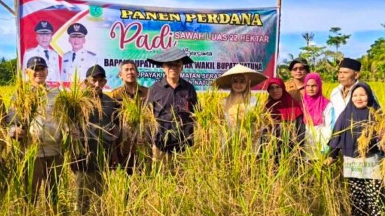 Produksi beras di Natuna meningkat signifikan menjadi 112 ton pada tahun 2024, naik 52 ton dari tahun sebelumnya, berkat berbagai stimulus pemerintah berupa bantuan pupuk, peralatan, dan penyuluhan pertanian.