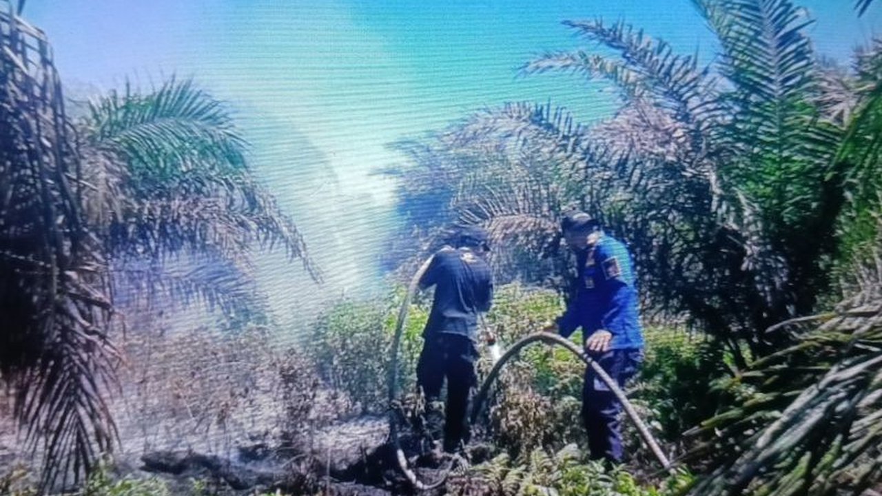 Tim gabungan berhasil memadamkan kebakaran lahan sawit seluas delapan hektare di Agam, Sumatera Barat, setelah upaya pemadaman selama dua hari, akibat cuaca panas dan angin kencang.