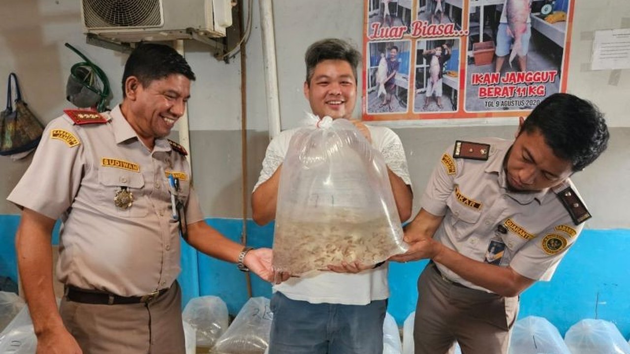 Balai Karantina Jambi memfasilitasi ekspor 1,43 juta ikan seluang senilai Rp563 juta ke Jakarta untuk kemudian diekspor,  menunjukkan peran penting karantina dalam menjaga kualitas dan keberlanjutan industri perikanan Jambi.