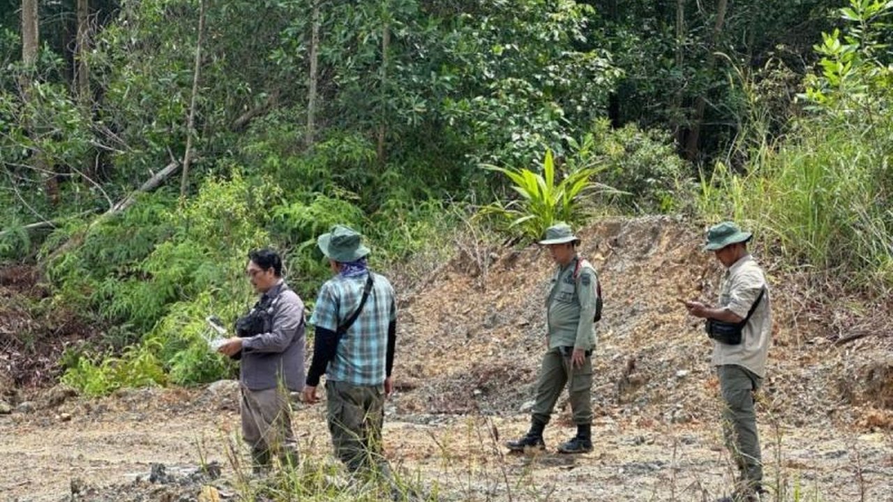 Polisi di Riau menangkap lima tersangka perambahan hutan lindung seluas 150 hektare di kawasan bekas tambang, melibatkan kepala desa dan perangkat desa setempat.