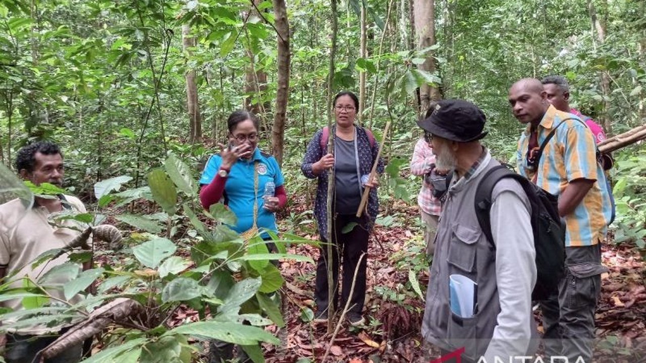 Universitas Papua (Unipa) melatih 30 peneliti, dosen, dan teknisi dalam pengelolaan tanaman obat dan pembuatan simplisia untuk mendukung pelestarian keanekaragaman hayati Papua serta visi Unipa sebagai pusat riset mandiri di tahun 2035.