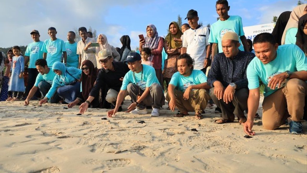 PT Pelni melepaskan 100 tukik di Pulo Aceh, Aceh Besar sebagai bagian dari program TJSL untuk mendukung konservasi penyu dan memberdayakan ekonomi masyarakat sekitar melalui ekowisata.