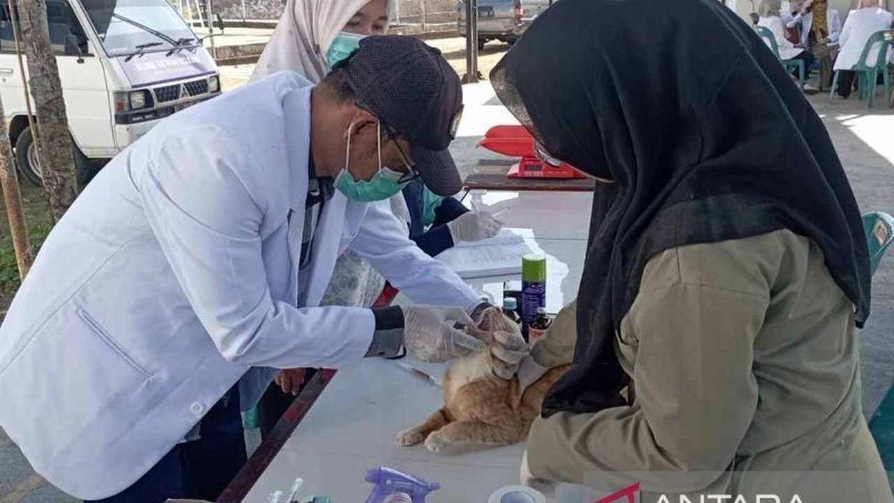 Dinas Peternakan Aceh mengadakan program pengobatan hewan peliharaan gratis di Banda Aceh pada Jumat, 7 Februari 2025, sebagai upaya meningkatkan kesehatan hewan dan deteksi dini penyakit.