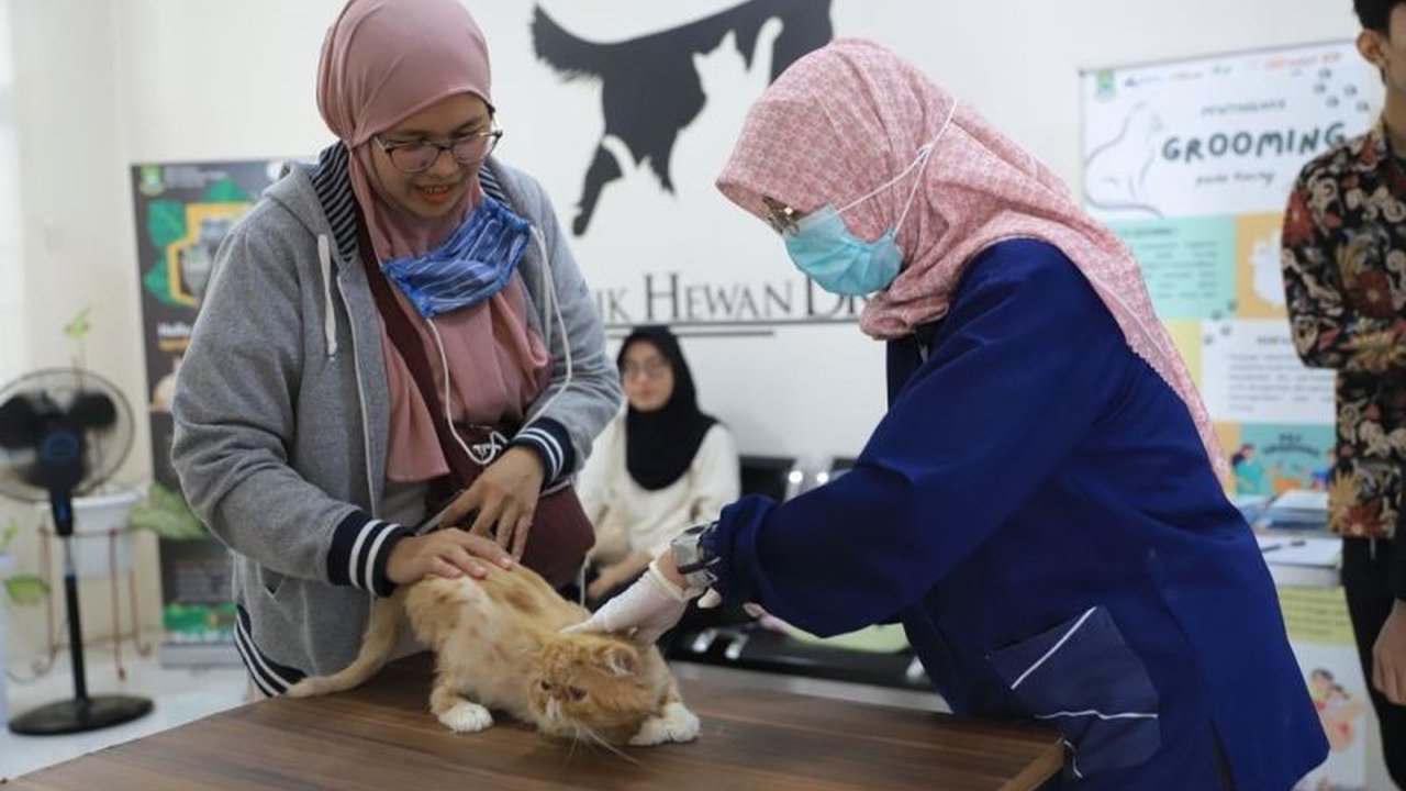 Kota Tangerang mendapat penghargaan atas keberhasilannya mencegah kasus rabies selama 14 tahun berkat program vaksinasi hewan gratis dan layanan kesehatan hewan komprehensif.