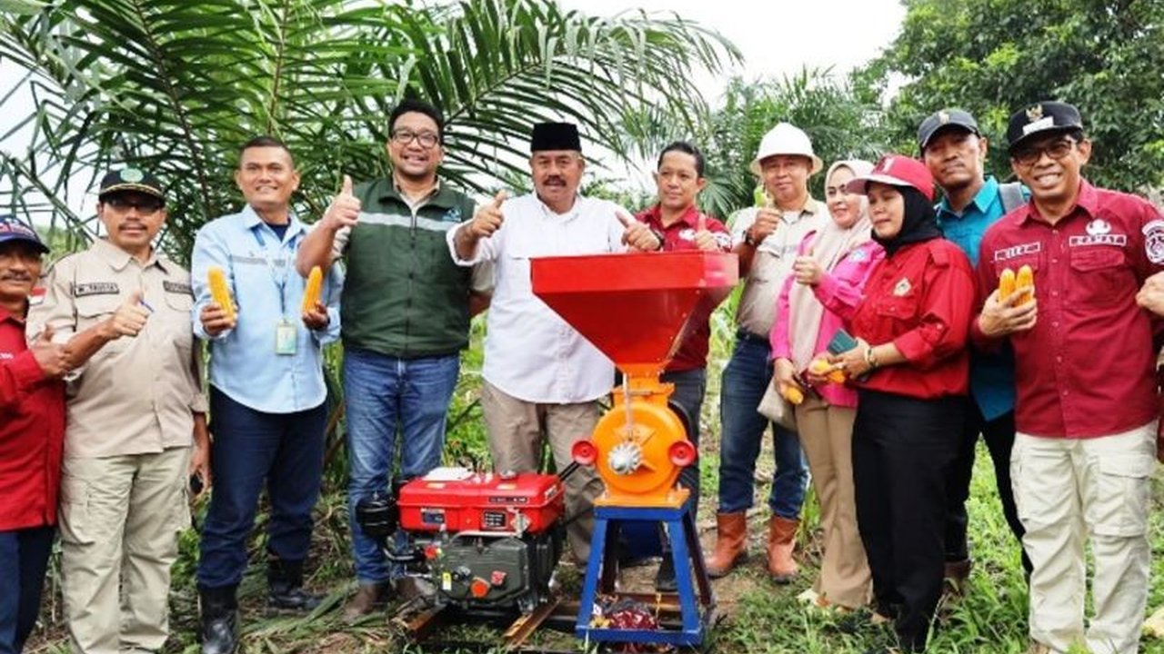 Kelompok Wanita Tani Kutai Kartanegara sukses panen jagung di 14 hektare dan madu kelulut, berkontribusi signifikan terhadap ketahanan pangan daerah.
