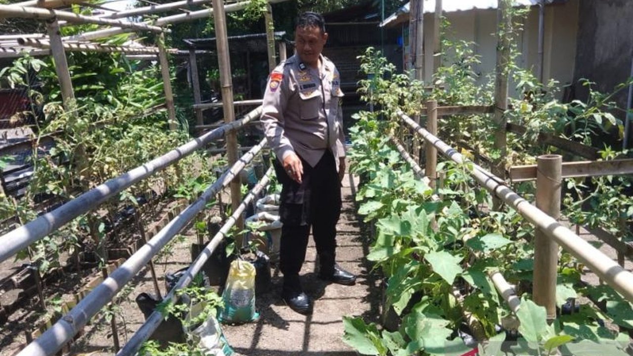 Kepolisian Sektor Selaparang Mataram secara aktif mendukung kelompok wanita tani Manggala Dharma Lashcarya dalam menanam komoditas pangan seperti terong, cabai, dan tomat, guna meningkatkan ketahanan pangan dan kesejahteraan masyarakat.