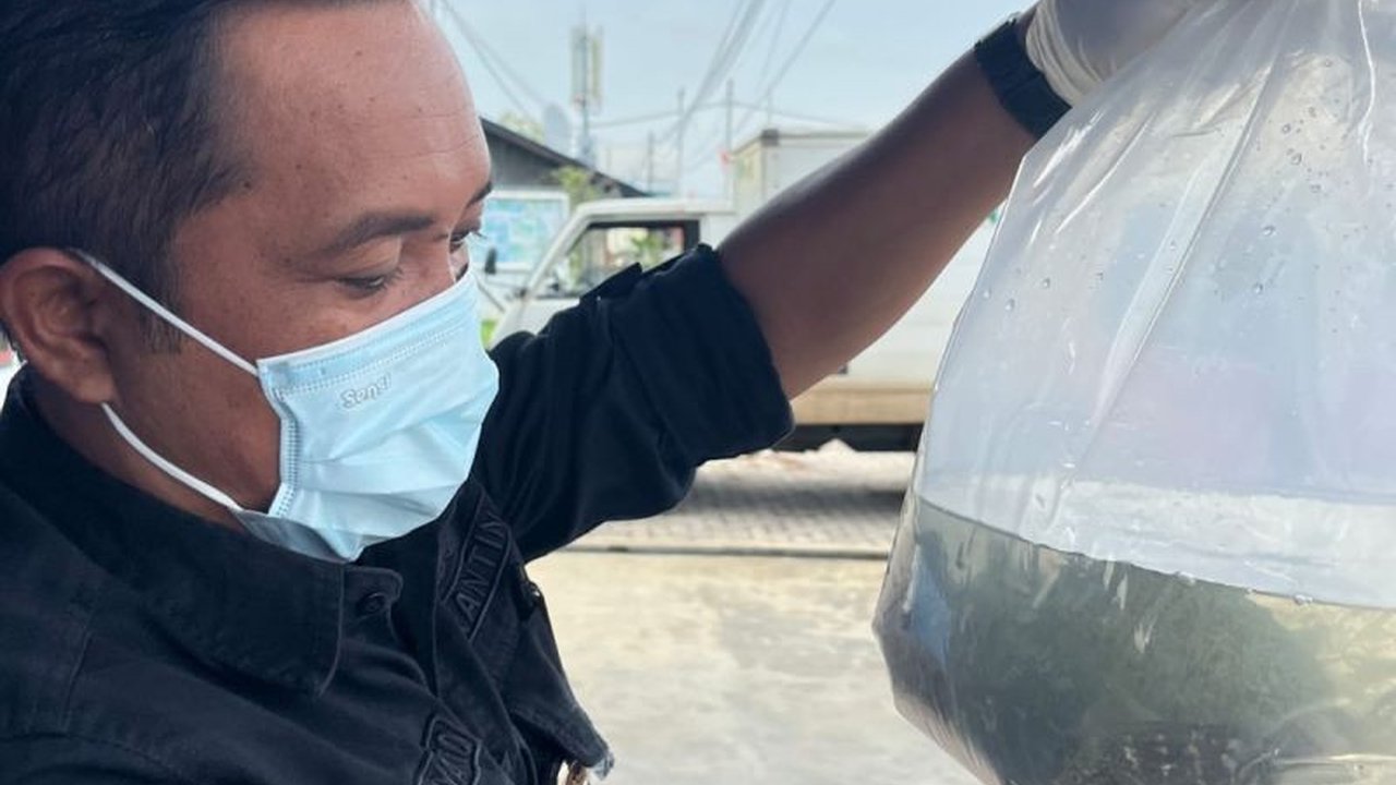 Kepala Karantina Papua Selatan memastikan hewan dan tumbuhan yang masuk Merauke telah bersertifikat untuk mencegah masuknya organisme pengganggu tumbuhan dan hewan, sekaligus mendukung aktivitas ekonomi lokal.