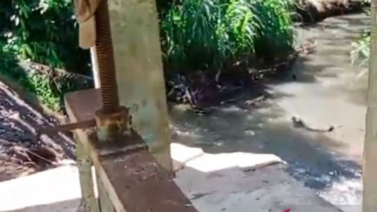 Dinas PUPR Mukomuko memanfaatkan air limbah rumah tangga untuk irigasi sawah di Desa Penarik, sebagai solusi pengairan di daerah dataran tinggi, meskipun perbaikan bendungan yang jebol masih menunggu anggaran.