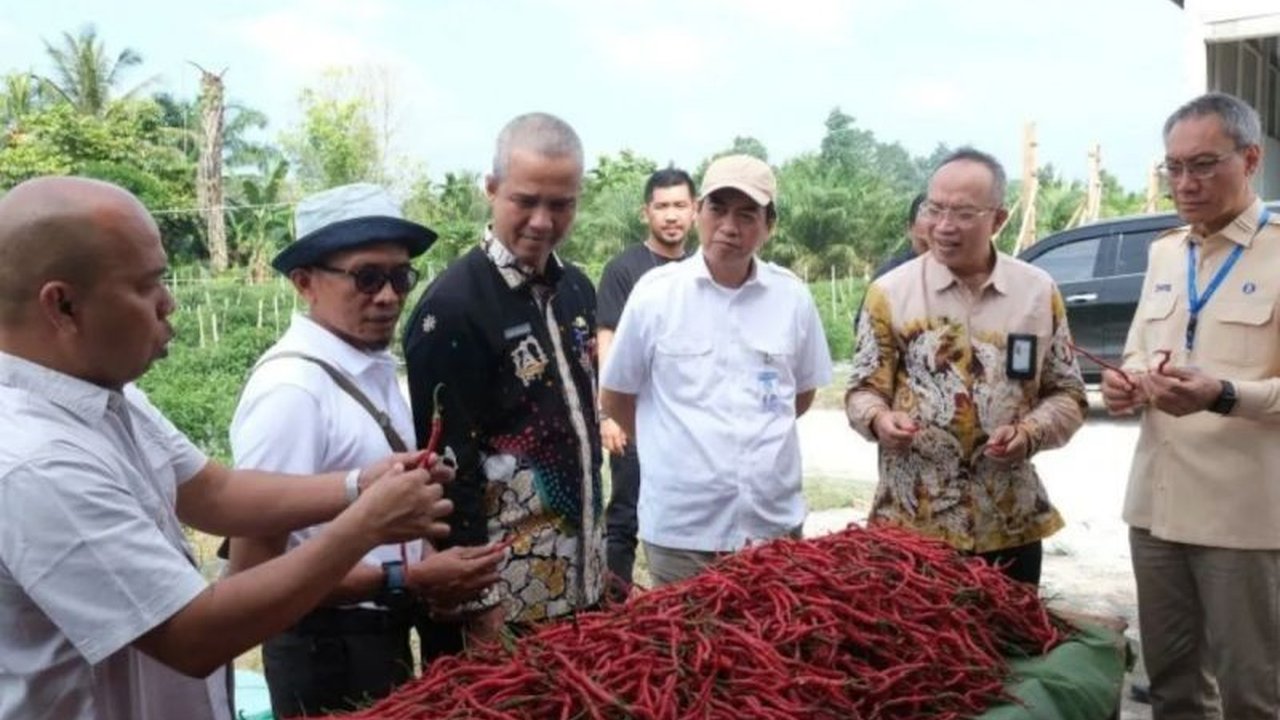 Bank Indonesia Riau dan Kelompok Tani Jaring Mas Sejahtera sukses panen perdana cabai merah di Kampar, mengurangi defisit produksi dan diharapkan menstabilkan harga di Provinsi Riau.
