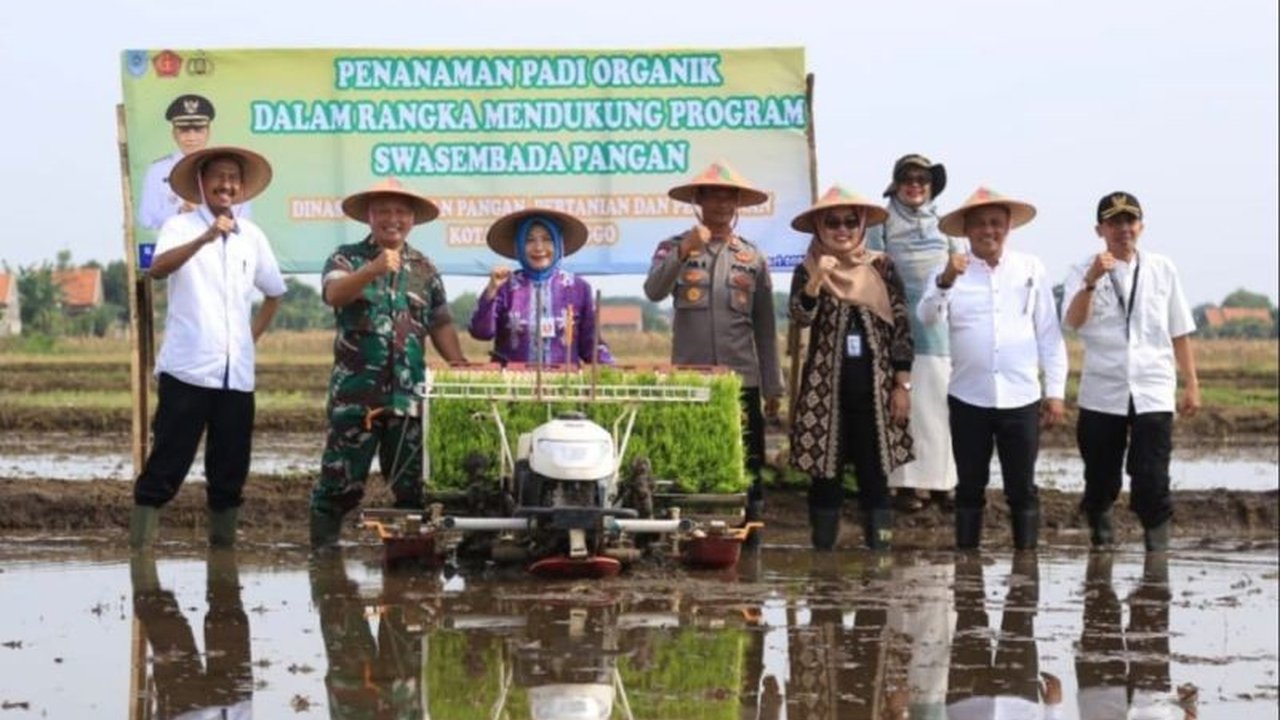 Pemerintah Kota Probolinggo mengembangkan pertanian padi organik seluas 1 hektar untuk mendukung swasembada pangan nasional dan mengurangi ketergantungan pada pupuk kimia serta pestisida, serta mewujudkan instruksi Presiden.