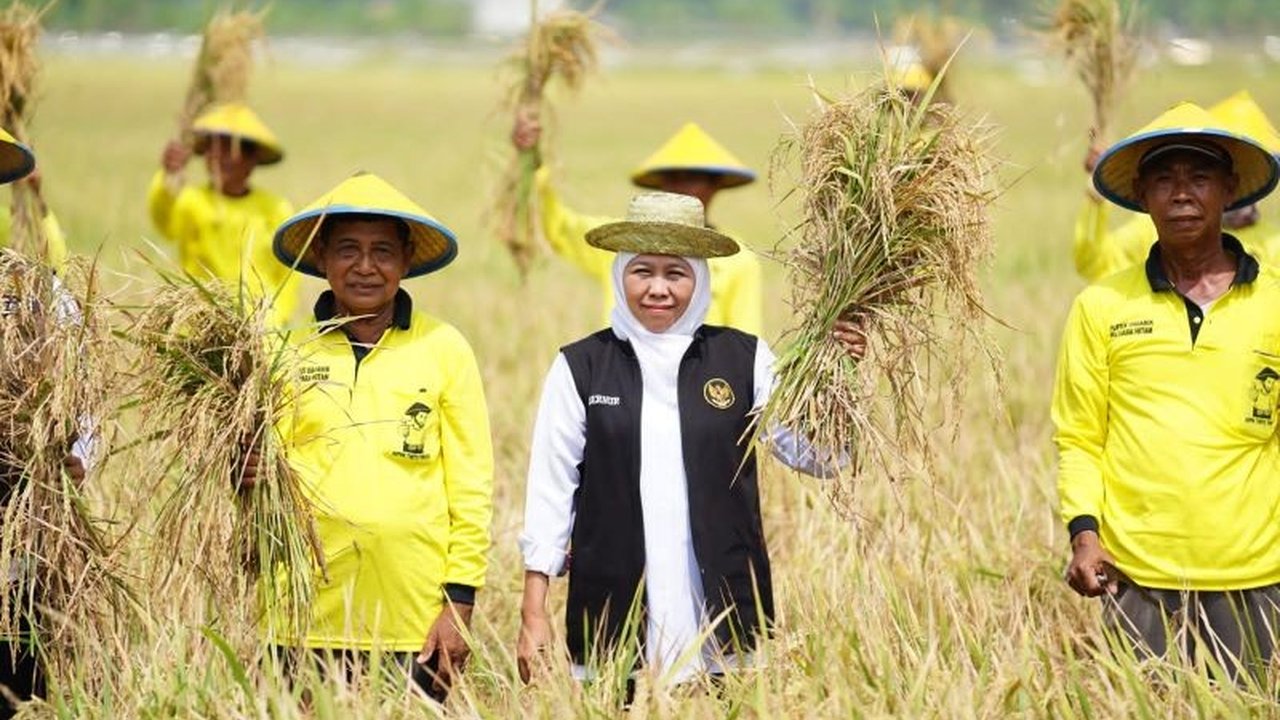 Jawa Timur, sebagai penghasil beras tertinggi di Indonesia sejak 2020, memastikan kesiapannya mendukung swasembada pangan nasional dengan produksi beras mencapai 5,4 juta ton pada tahun 2024 dan berbagai program inovatif.