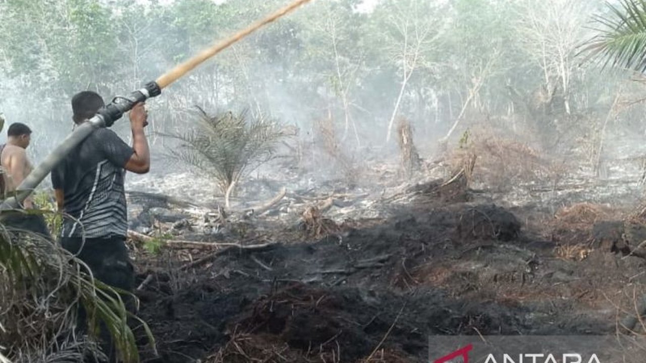 Badan Penanggulangan Bencana Daerah (BPBD) Aceh Barat mengerahkan personel dan armada untuk memadamkan kebakaran lahan gambut di Desa Suak Uleue, Lambalek pada Sabtu siang, 8 Februari 2024, yang dilaporkan oleh masyarakat setempat.