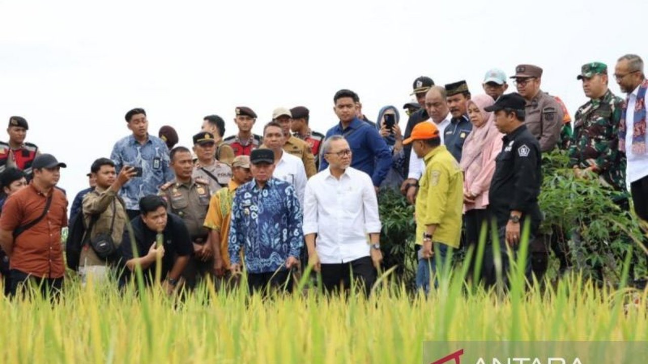Menko Pangan Zulkifli Hasan tegaskan harga beli gabah dari petani tidak boleh kurang dari Harga Pembelian Pemerintah (HPP) Rp6.500 per kg, Bulog siap serap langsung jika harga anjlok.