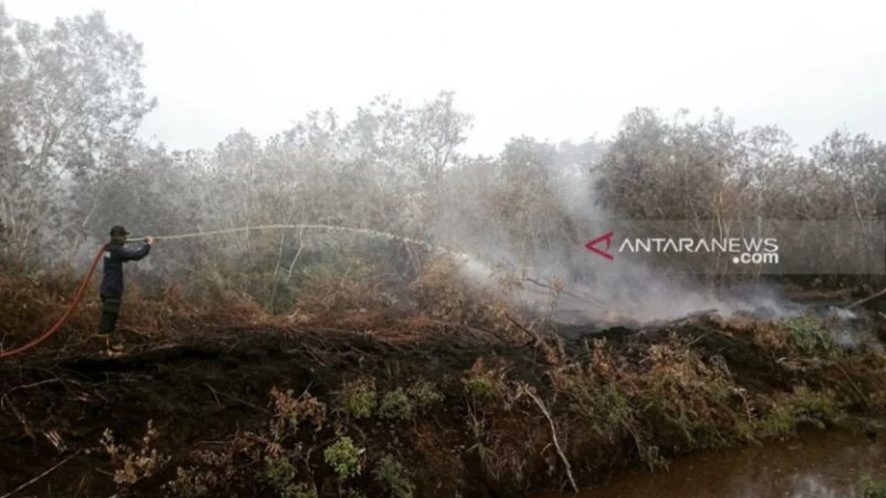 Kebakaran Lahan Gambut Aceh Barat: 5.000 Meter Persegi Lahan Terbakar