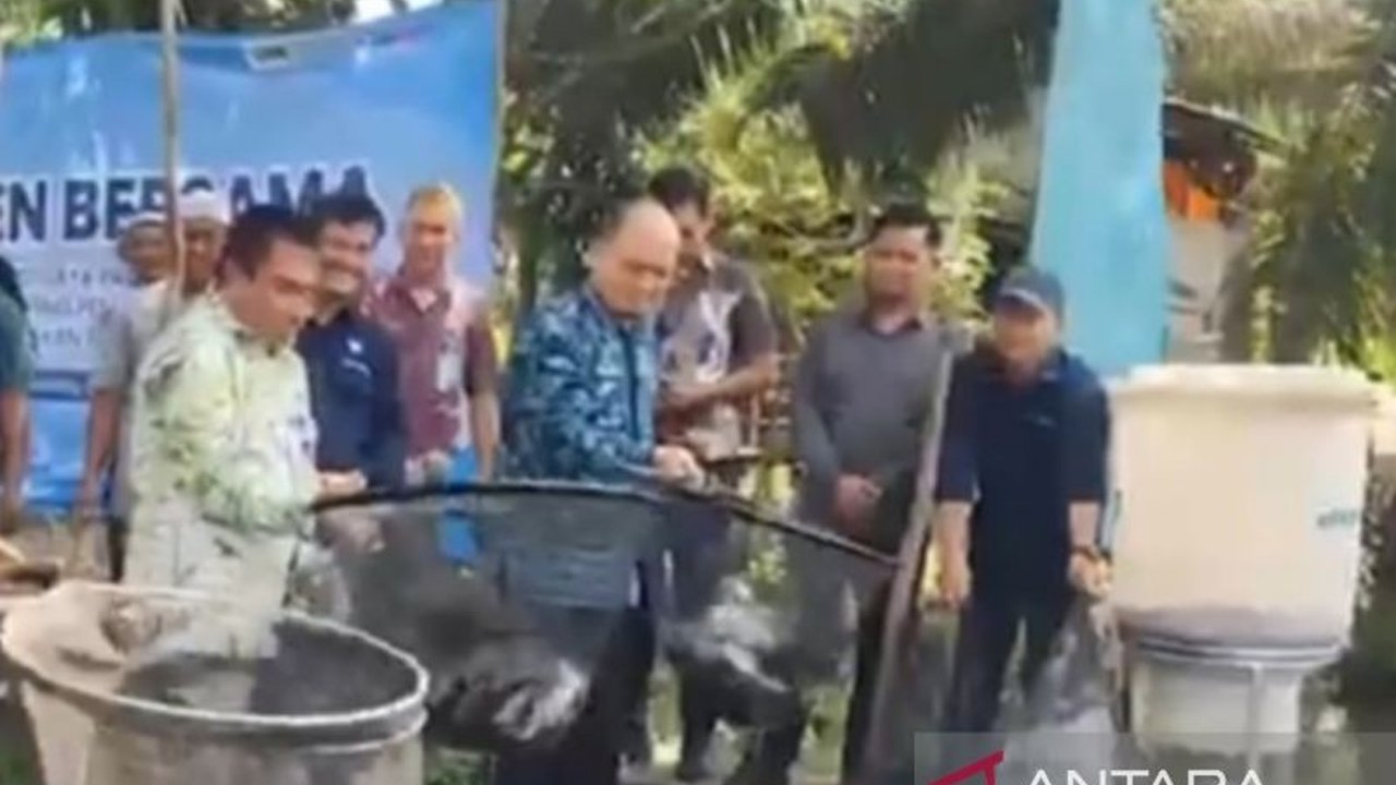 Bupati Bangka Tengah, Algafry Rahman, melihat prospek cerah budidaya ikan air tawar setelah panen raya Pokdakan Pinang Sebatang yang meraih keuntungan hingga Rp9 juta per kolam dalam empat bulan.