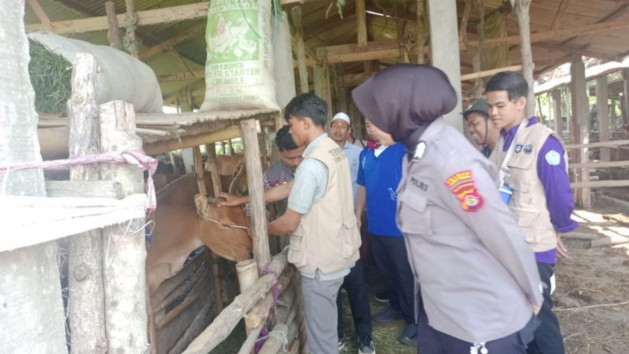 Polisi Lombok Tengah Edukasi Peternak Cegah PMK