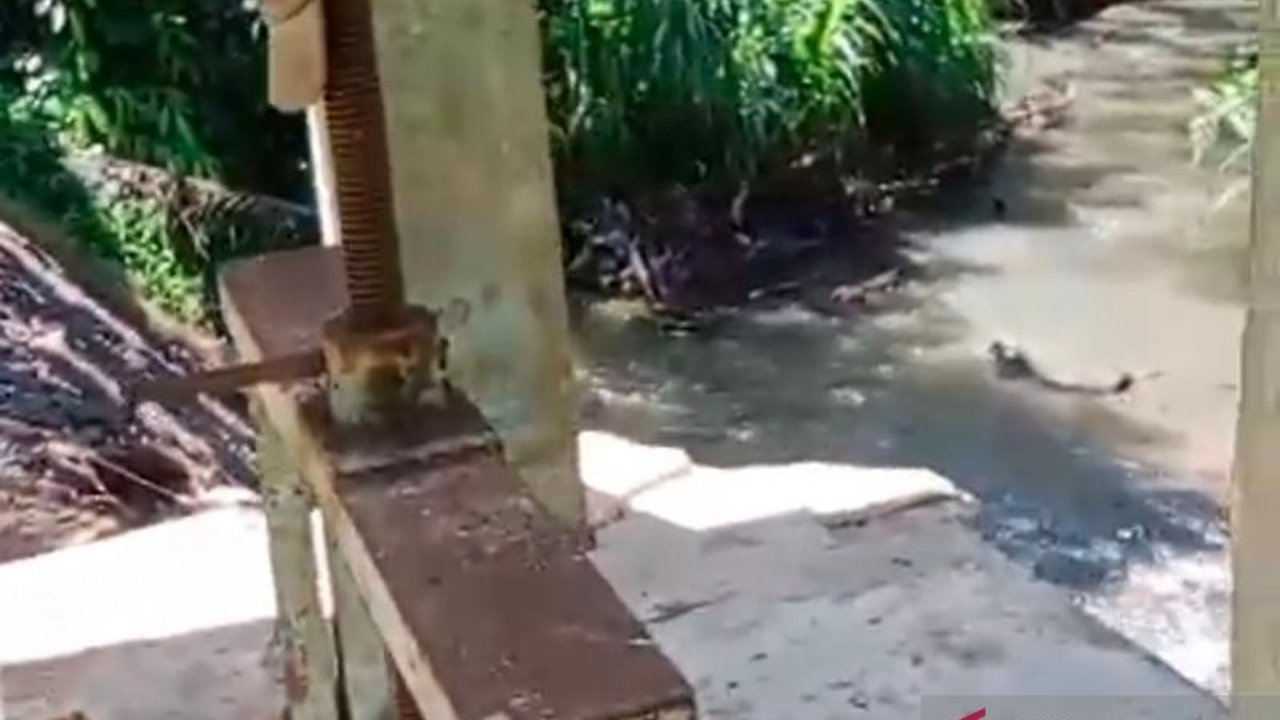 Irigasi Air Dikit Kecil di Mukomuko, Bengkulu, yang jebol akibat banjir, menunggu kepastian anggaran dari pemerintah daerah untuk pembangunan ulang pada tahun 2025, dengan rencana pembangunan bendungan baru yang lebih tahan lama.