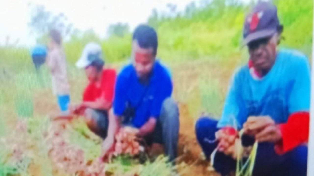 Pemkab Biak Libatkan Petani OAP untuk Ketahanan Pangan 2025