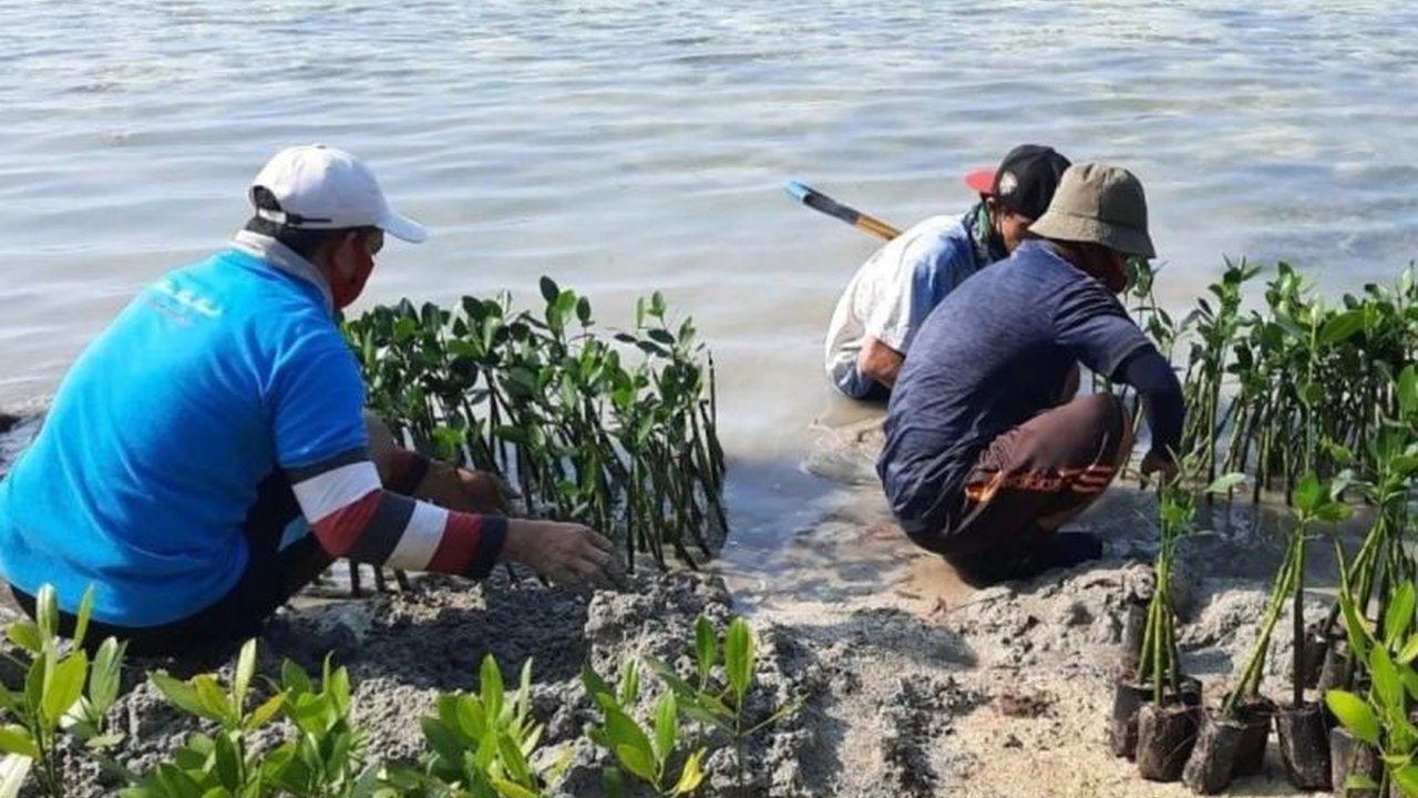 Kementerian Kelautan dan Perikanan (KKP) menyatakan kesiapannya untuk memperdagangkan karbon biru dari ekosistem padang lamun, yang memiliki potensi besar dalam menyerap emisi karbon dan meningkatkan kesejahteraan masyarakat pesisir.