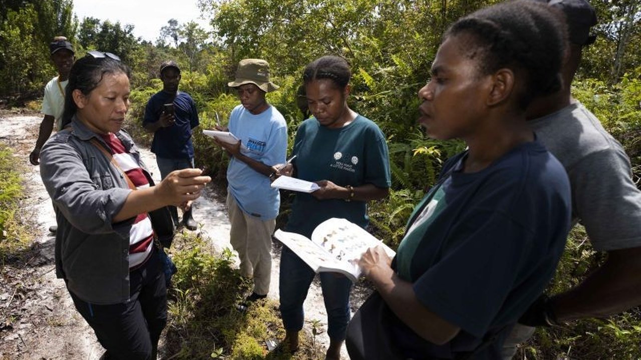 Pemuda adat di Distrik Konda, Sorong Selatan, meningkatkan kemampuan konservasi keanekaragaman hayati dalam mendukung proses pengakuan hutan adat mereka, melalui pelatihan dan pendampingan dari berbagai pihak.