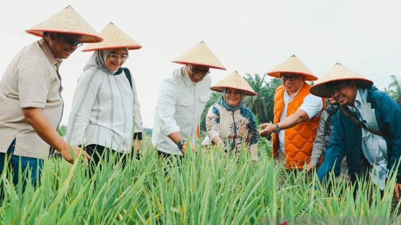 Kementerian Koordinator Bidang Pangan memproyeksikan produksi gabah kering program Tampan PTPN di Riau mencapai 50 ton, sebagai upaya mendukung swasembada pangan nasional pada 2027.