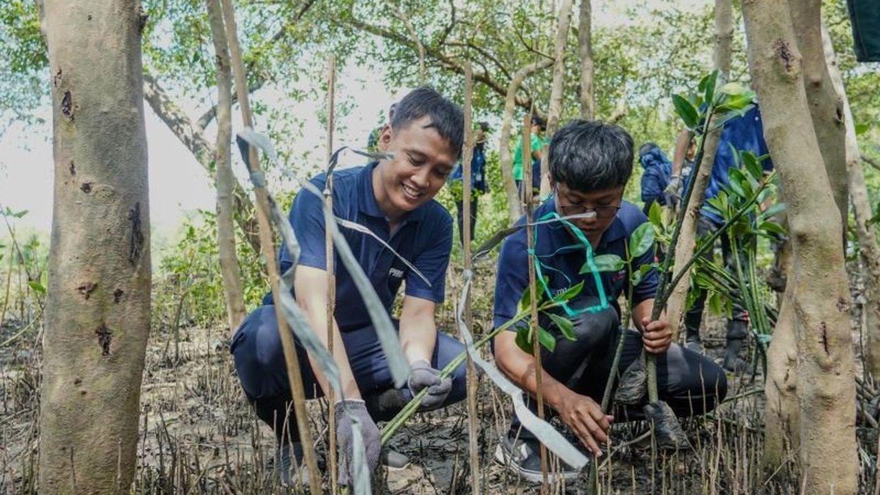 PT PAL Indonesia menunjukkan komitmen terhadap lingkungan dengan menanam ratusan bibit mangrove di Wonorejo, Surabaya, guna mencegah abrasi dan menjaga ekosistem pesisir.