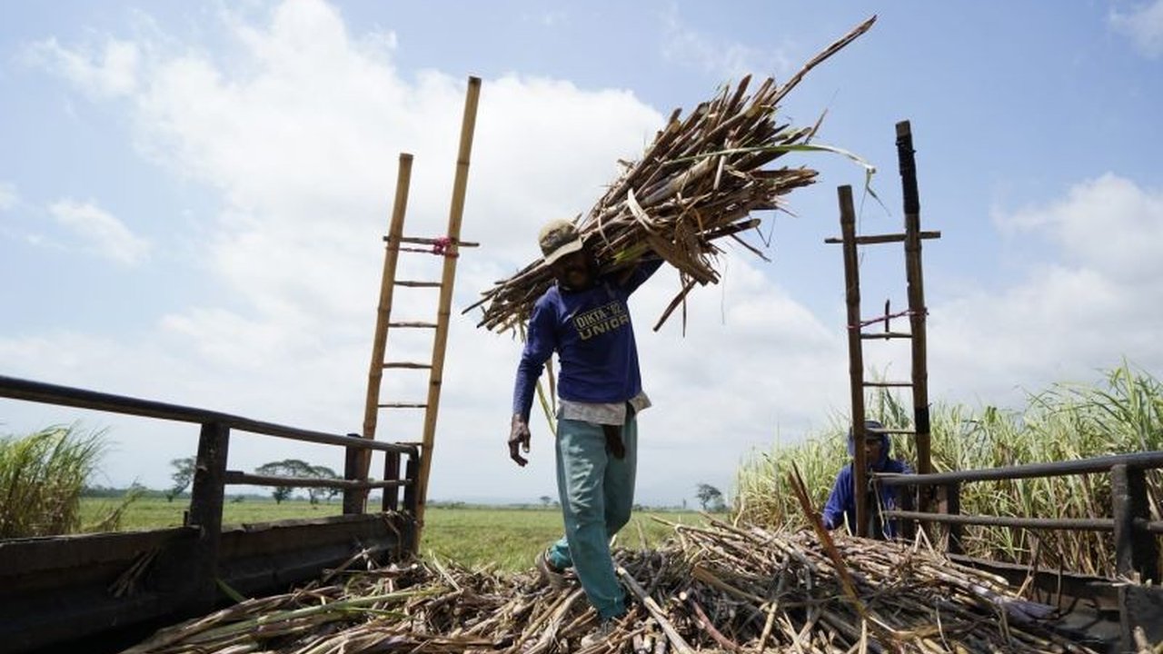 PTPN Group berhasil menjadi produsen gula terbesar di Indonesia, menargetkan swasembada gula nasional pada 2027 lewat berbagai inovasi dan dukungan pemerintah.