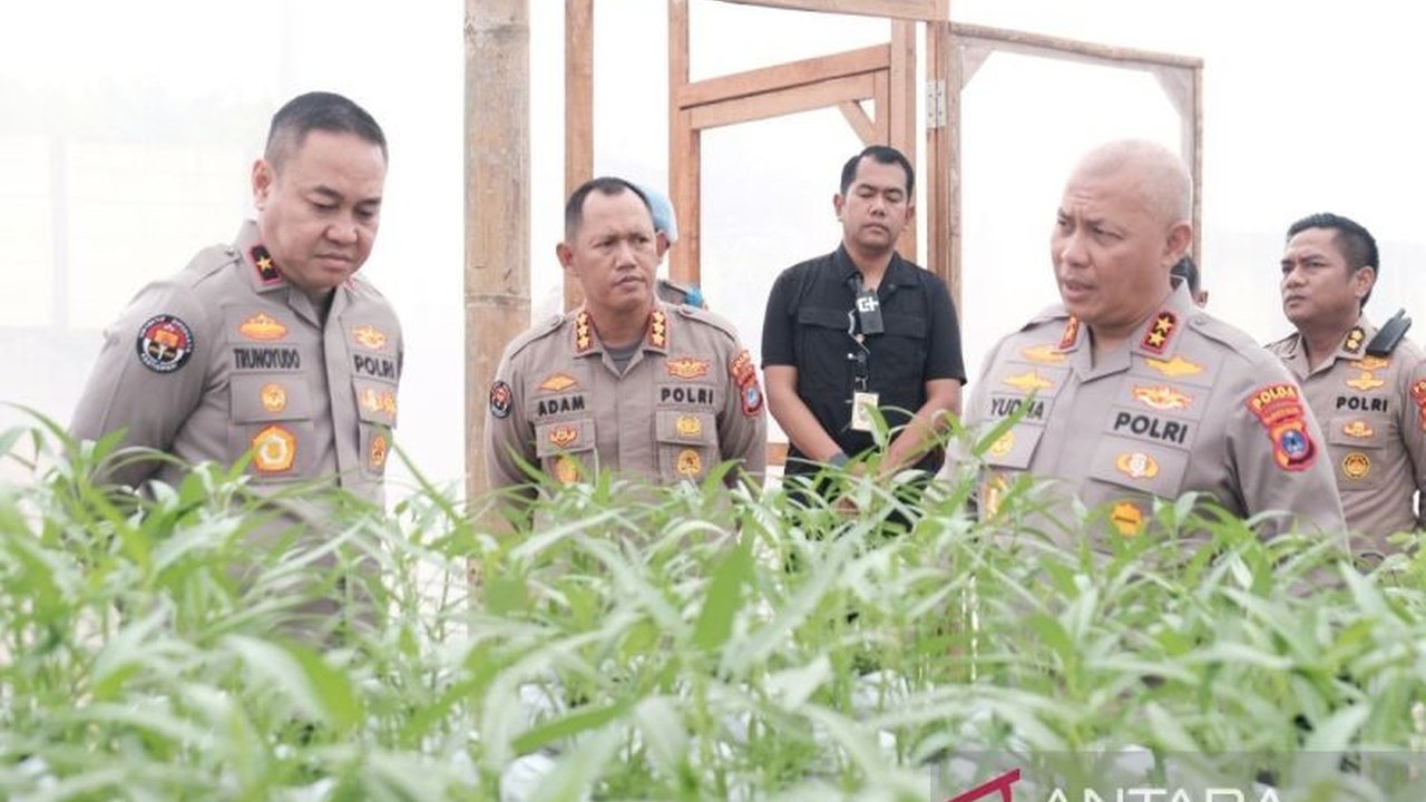 Mabes Polri mengapresiasi greenhouse Polda Kalimantan Selatan sebagai inovasi ketahanan pangan dan mendorong replikasi model tersebut di wilayah lain, mendukung program Asta Cita Presiden.