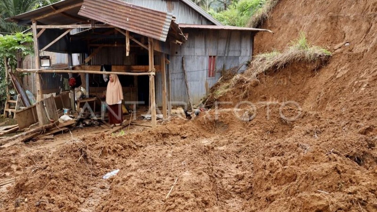 Longsor di Desa Bitobe, Kupang, NTT pada 8 Februari 2024 telah menyebabkan 74 warga mengungsi dan membutuhkan bantuan mendesak berupa makanan, pakaian, dan obat-obatan.