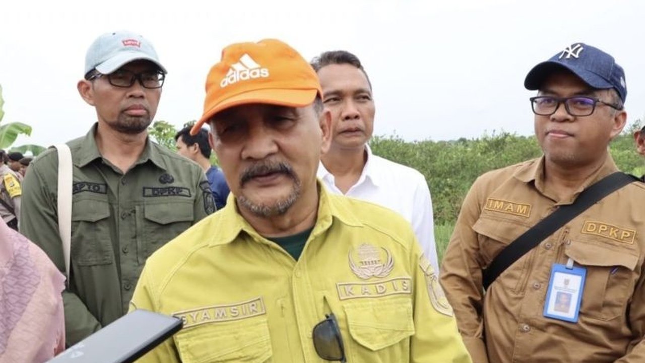 Kalimantan Selatan optimis surplus pangan akan melampaui 1,560 juta ton pada tahun 2025, melampaui capaian tahun 2024, berkat kerja keras petani dan kebijakan pemerintah.