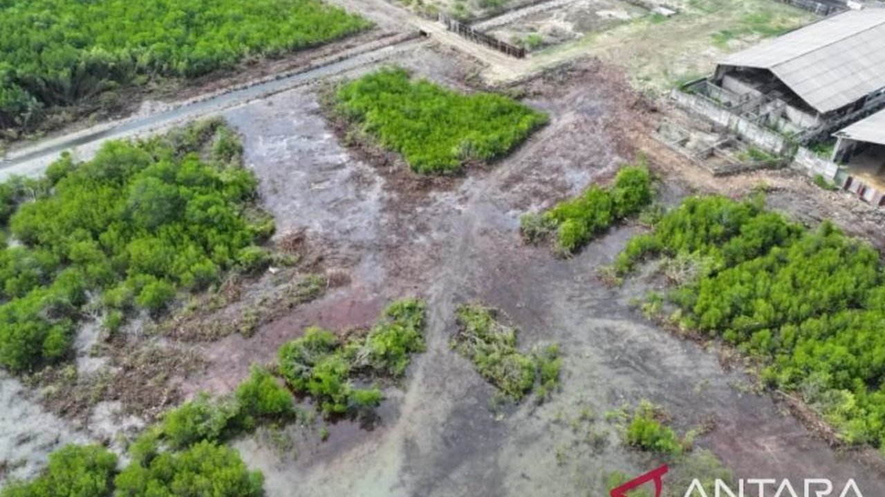 Polres Pamekasan mengungkap kasus kepemilikan lahan pesisir pantai secara pribadi di Pantai Tlanakan, Pamekasan, Jawa Timur, yang terungkap dari penyelidikan kasus penebangan pohon mangrove.