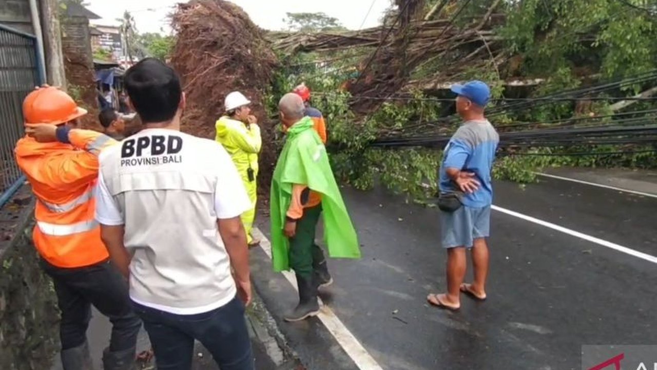 Hujan Lebat di Bali: BPBD Fokus Tangani Puluhan Kejadian Bencana