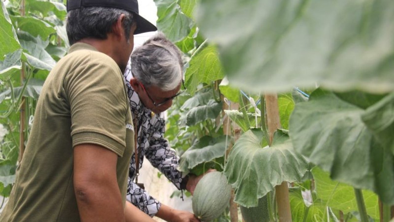 DP3 Sleman Pastikan Anggaran Pengembangan Usaha Tahan Badai Refocusing