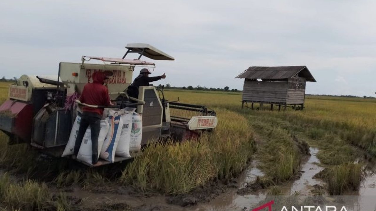 Kabupaten Penajam Paser Utara, Kalimantan Timur, menerima tambahan 677 ton pupuk subsidi untuk tahun 2025, sehingga total kuota mencapai 7.425 ton, menunjang pertanian lokal.