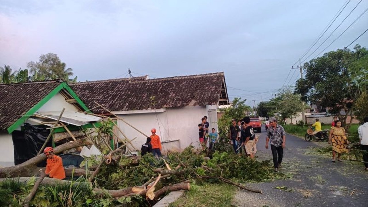 Badan Penanggulangan Bencana Daerah (BPBD) Lumajang melaporkan kerusakan rumah, pohon tumbang, dan korban luka akibat angin kencang yang melanda beberapa kecamatan pada 9 Februari 2024.