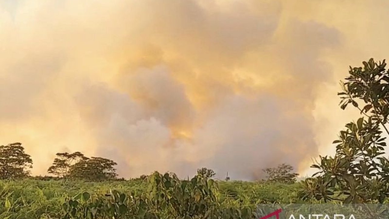 BPBD Aceh Barat berhasil memadamkan kebakaran lahan seluas 0,5 hektare di Kecamatan Arongan Lambalek, namun terkendala akses jalan saat menangani kebakaran lahan baru di Desa Blang Beurandang, Kecamatan Johan Pahlawan.