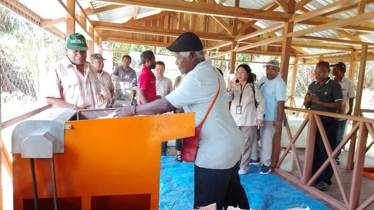 Direktorat Jenderal Perkebunan RI, bersama FAO UN dan mitra lainnya, membangun rumah produksi sagu di Kampung Yoboi, Papua, guna meningkatkan efisiensi pengolahan dan pendapatan masyarakat setempat.