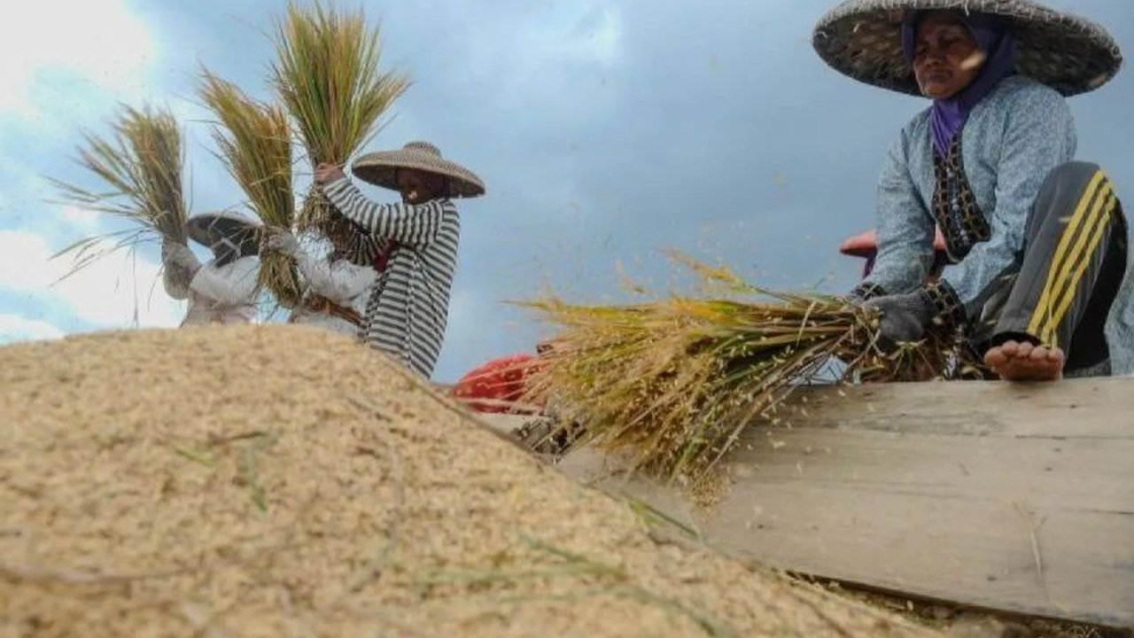 Pengamat ekonomi Celios mengungkapkan cuaca kondusif menjadi faktor utama produksi beras Indonesia kembali normal setelah dampak El Nino, dengan proyeksi peningkatan signifikan pada panen raya Maret 2025.