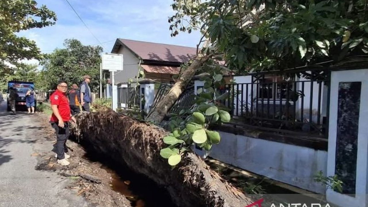 Badan Penanggulangan Bencana Daerah (BPBD) Palangka Raya mencatat 17 pohon tumbang akibat cuaca ekstrem di Januari 2025, dan mengimbau warga untuk waspada serta menghubungi layanan darurat 112 jika diperlukan.