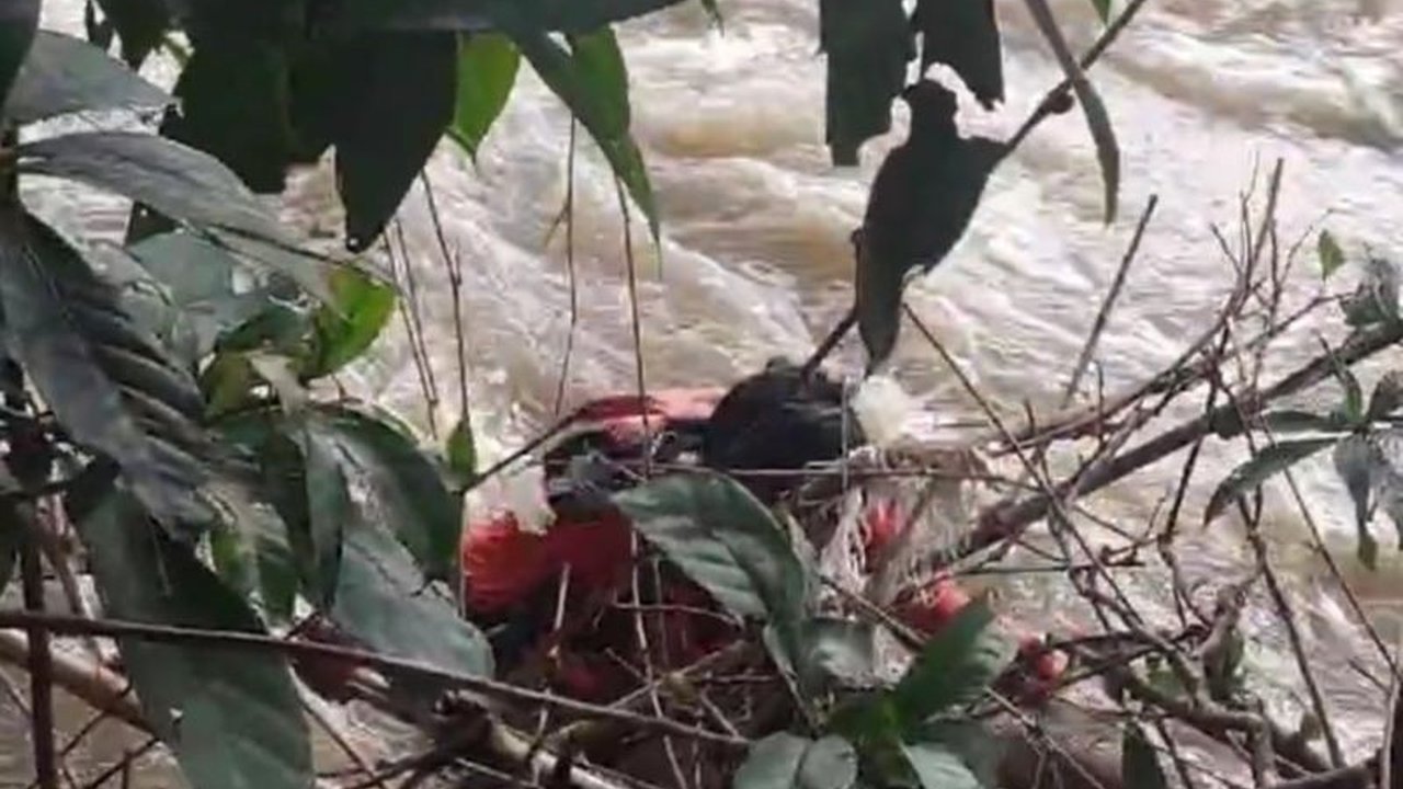 Hana Safira (2 tahun) hilang terseret arus sungai di Lombok Timur saat hujan deras Senin (10/2), pencarian dihentikan sementara karena cuaca buruk dan dilanjutkan keesokan harinya.