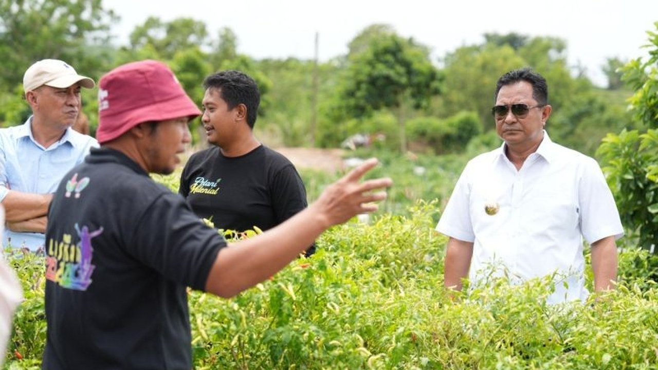 Pemerintah Provinsi Sulawesi Barat (Sulbar) mengembangkan cabai Salodua untuk meningkatkan produksi dan pendapatan petani, memanfaatkan lahan seluas 50 hektare serta belajar teknik budidaya dari petani sukses di Enrekang.