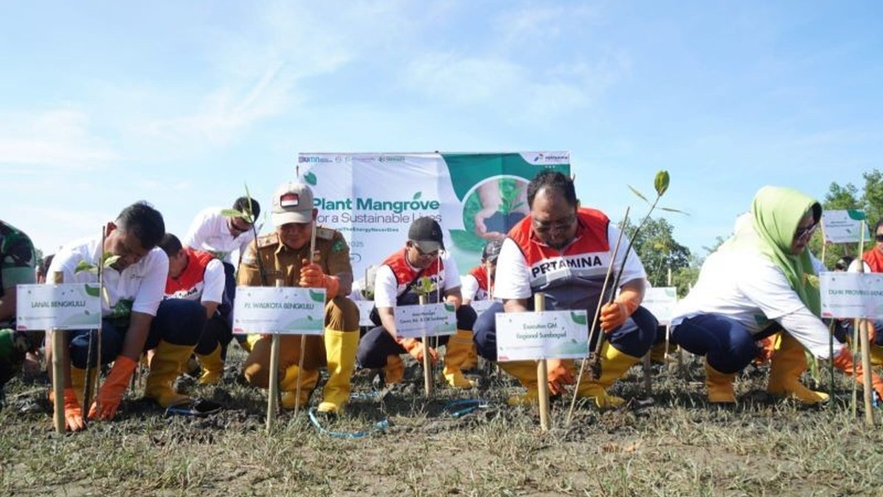 Pertamina Patra Niaga Regional Sumbagsel berkolaborasi dengan Yakesma menanam 2.025 pohon mangrove di Bengkulu untuk menjaga ekosistem pesisir, mencegah abrasi, dan mitigasi perubahan iklim, mendukung target pembangunan berkelanjutan.