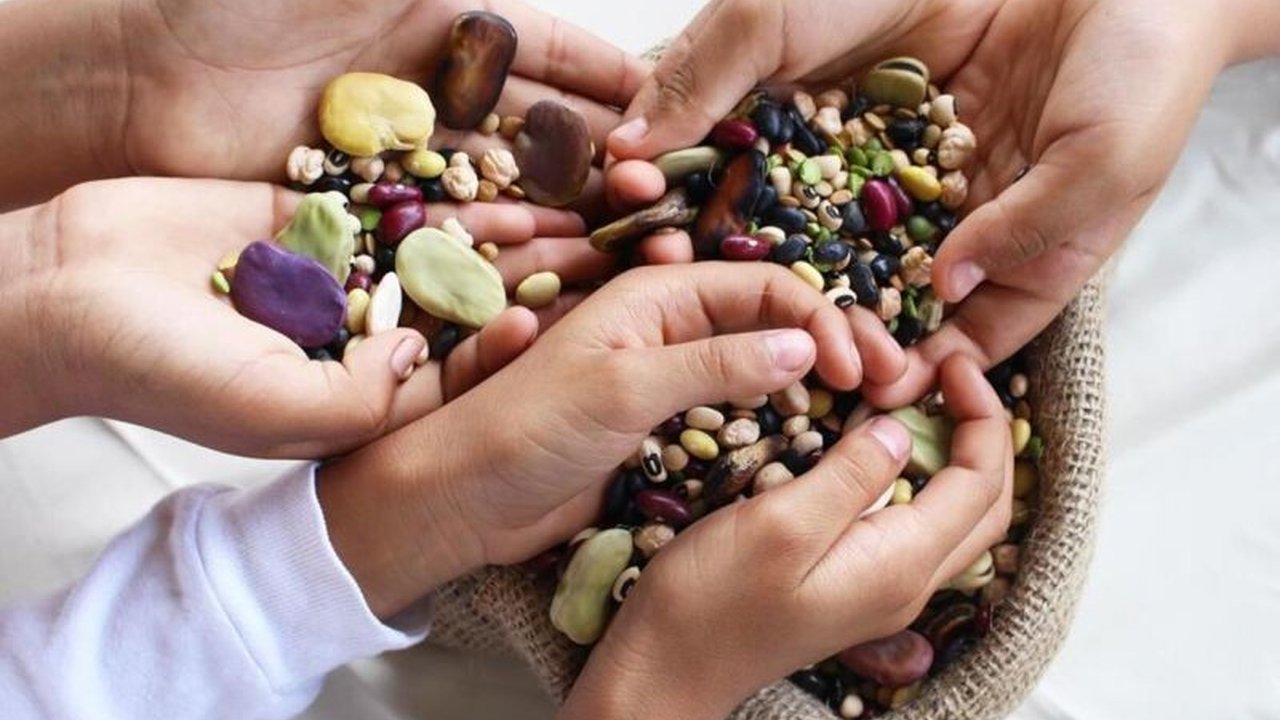 FAO mendorong peningkatan konsumsi kacang-kacangan di Indonesia karena kandungan gizinya yang tinggi, manfaat kesehatan, dan peran pentingnya dalam keberlanjutan lingkungan serta ketahanan pangan.