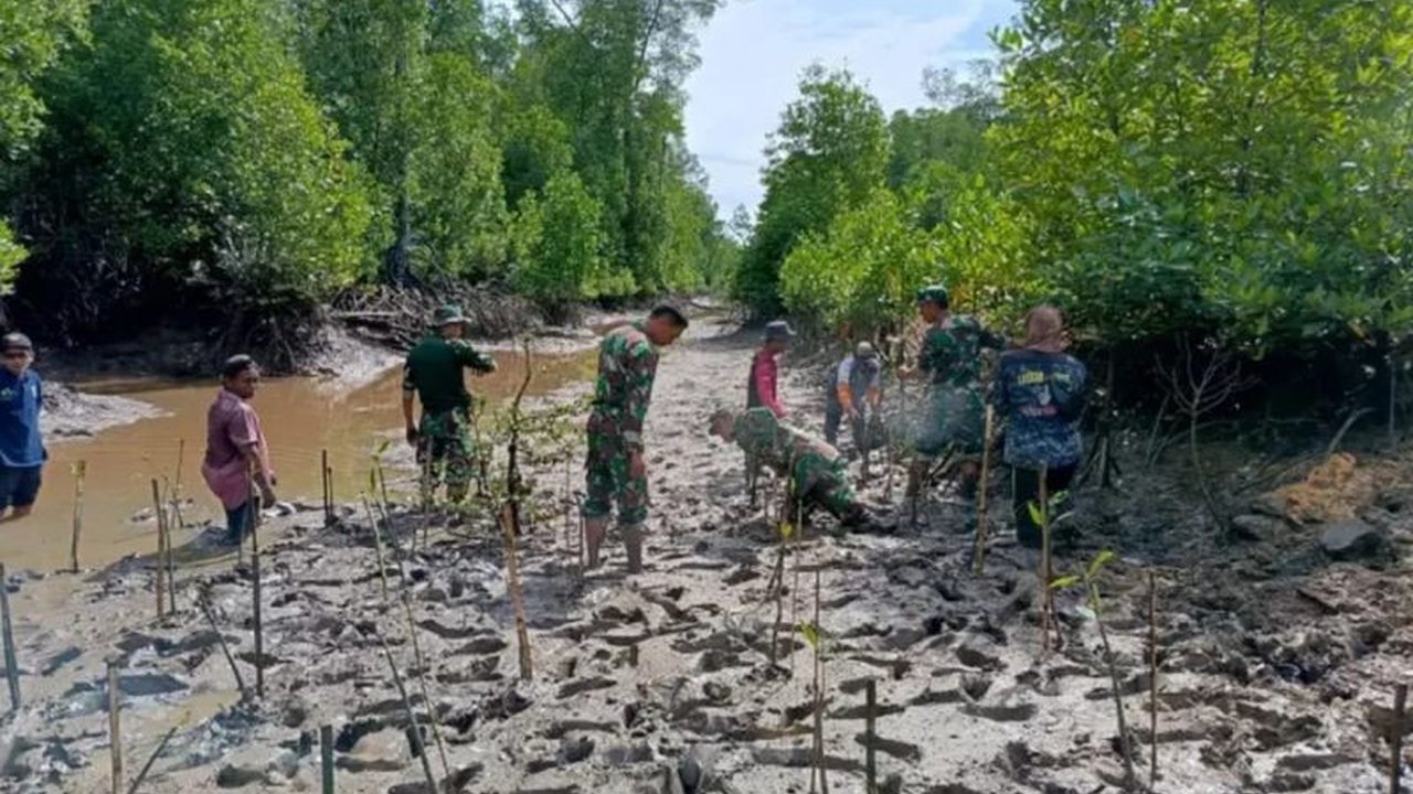 TNI dan Warga Berau Sukses Mitigasi Iklim lewat Penanaman Mangrove