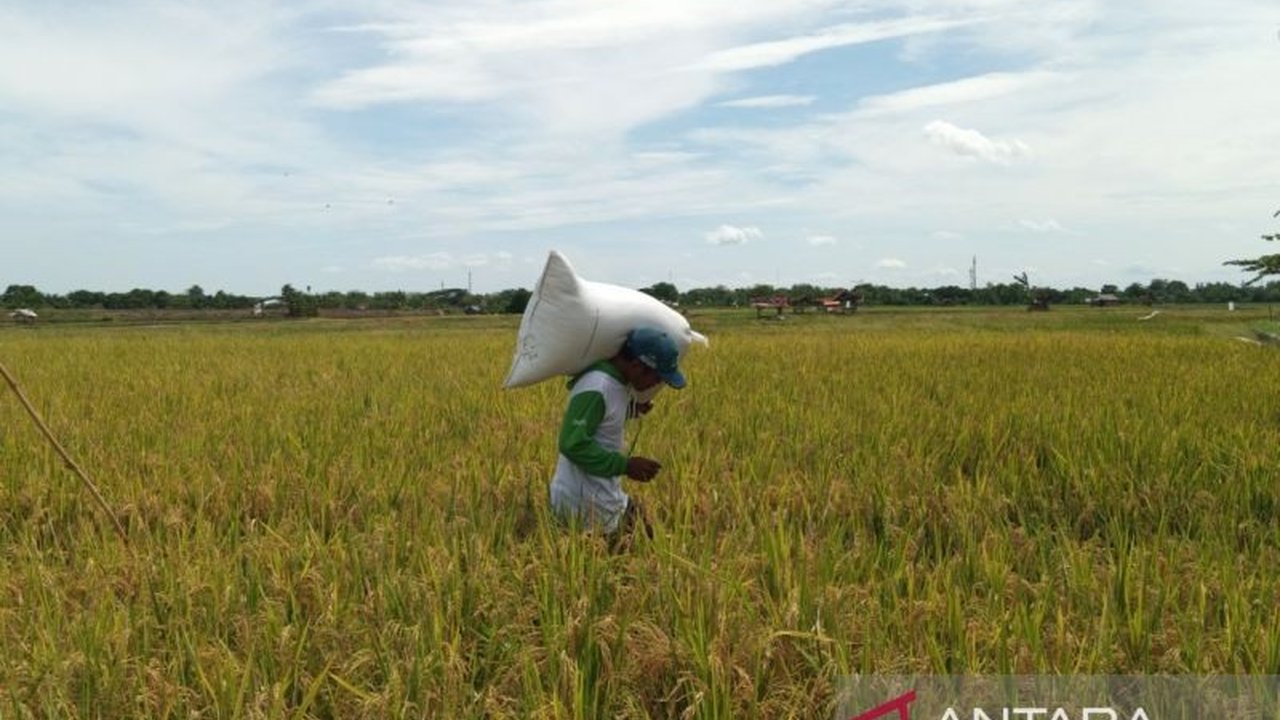 Konsumsi rumah tangga menjadi penggerak utama pertumbuhan ekonomi Ciayumajakuning, didukung sektor pertanian dan UMKM, meskipun tantangan inflasi dan suku bunga tinggi perlu diatasi.