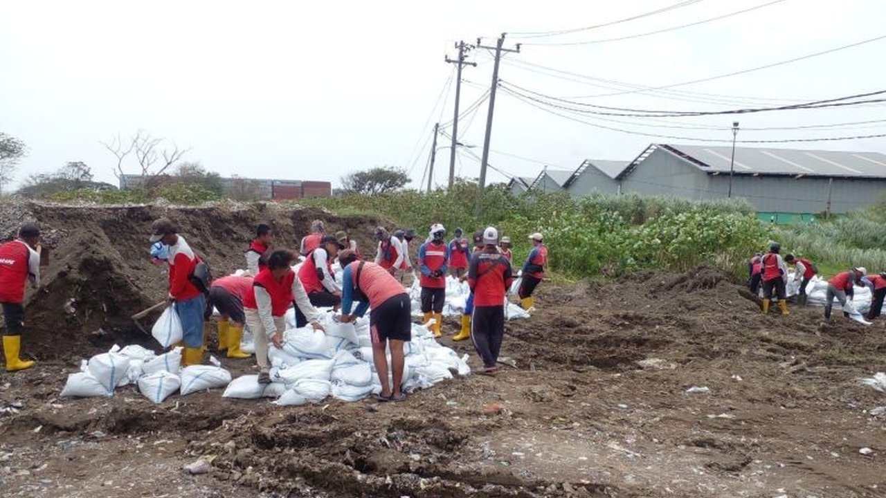 Pemerintah Kota Semarang menyiapkan lebih dari 3.200 sandbag untuk memperkuat tanggul kritis di beberapa titik rawan banjir guna mencegah meluasnya genangan air ke permukiman dan lahan pertanian.
