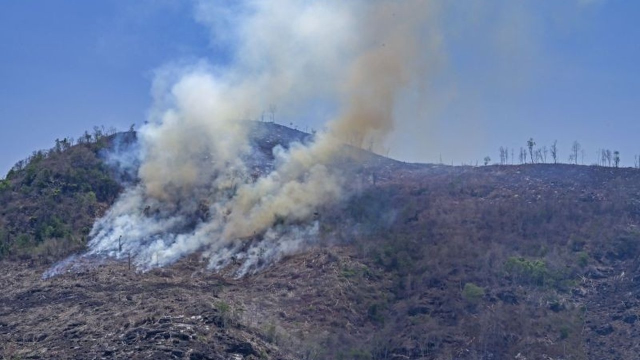 Setelah 15 tahun kerusakan lingkungan akibat budidaya jagung monokultur, program Wanatani di Sumbawa diharapkan dapat menciptakan pertanian berkelanjutan dan mengurangi bencana alam.