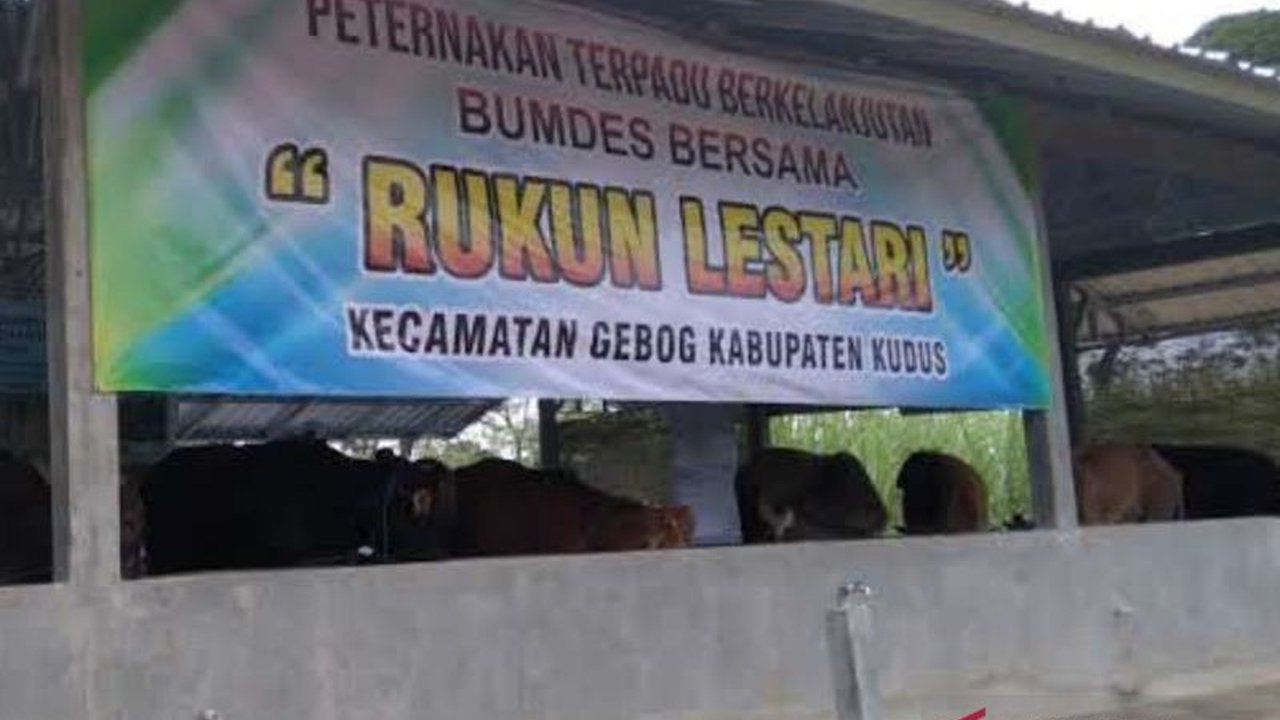 Pemerintah Kabupaten Kudus mendukung kebijakan pemerintah pusat yang mengalokasikan 20% dana desa untuk BUMDes guna mendukung swasembada pangan, meskipun implementasinya ditunda hingga APBDes Perubahan 2025 atau APBDes 2026.