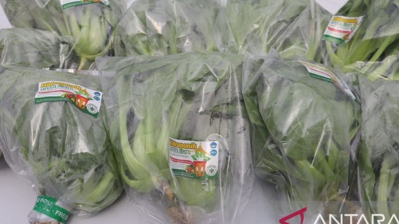 Unpatti Ambon: Program Pertanian Pintar untuk Mahasiswa